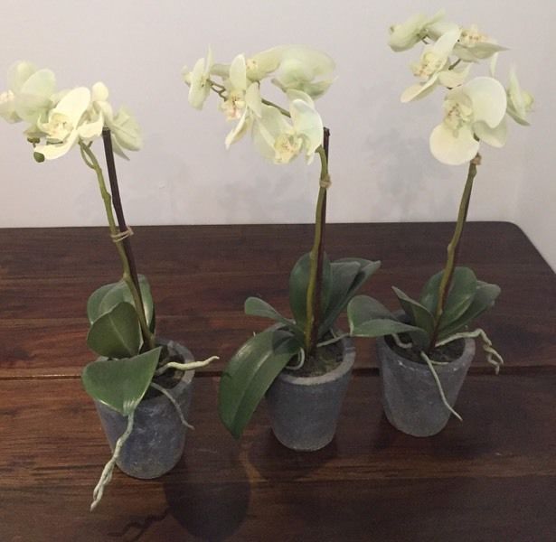 Faux Orchida - 1