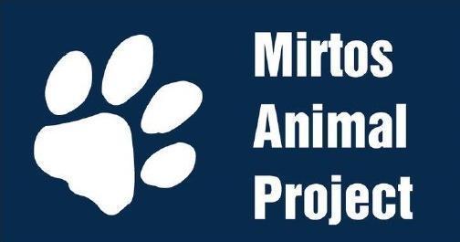 Mirtos Animal Project zoekt gastgezinnen voor kat en hond!