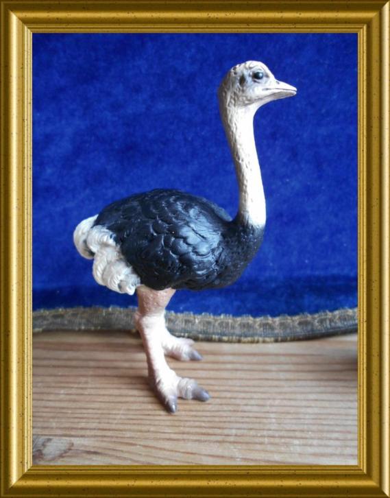 Nr. 1989 : Mooie oude Schleich struisvogel