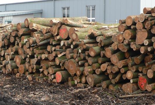 Brandhout, openhaardhout, haardhout, boomstammen, stammen Tweedehands