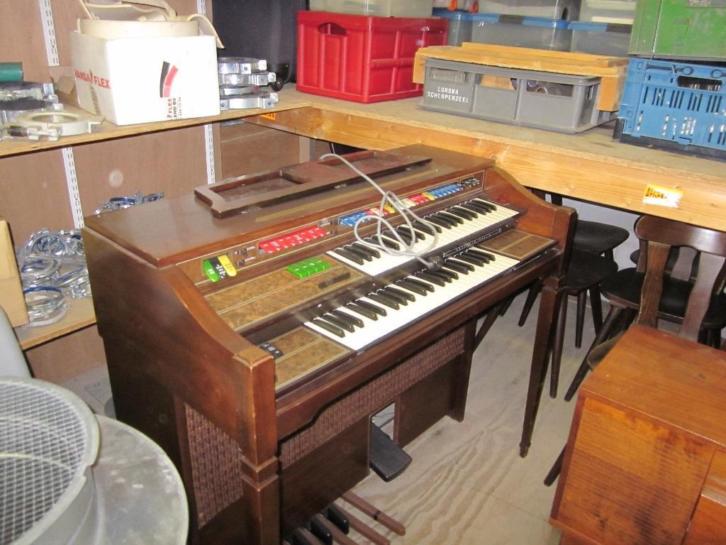 Orgel Thomas playmate
