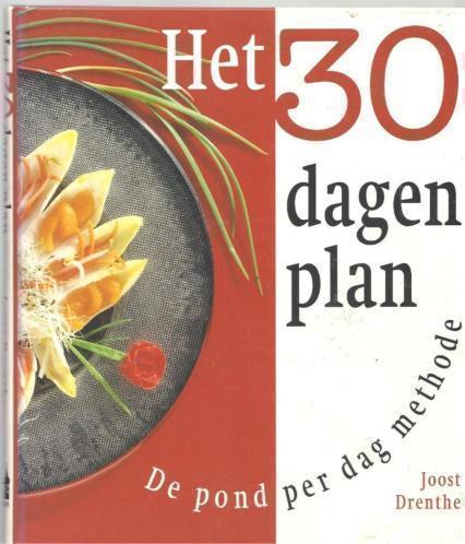 Joost Drenthe Het 30 dagen plan