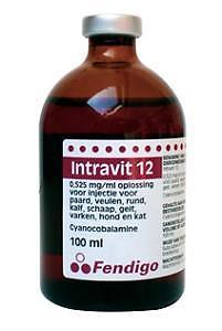 Intravit-B12 injectie 100ML