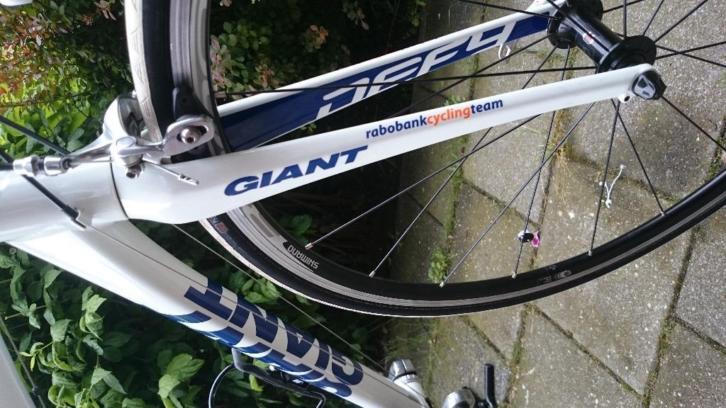 giant defy rabobank edition