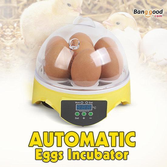EU Automatic Eggs Incubator Mini Incubation Equipment 7 E...