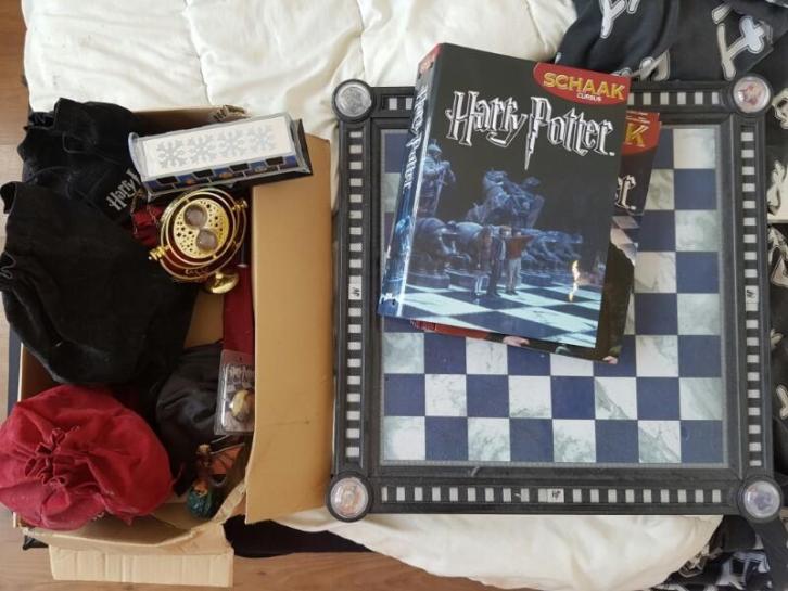 Harry Potter schaakcursus