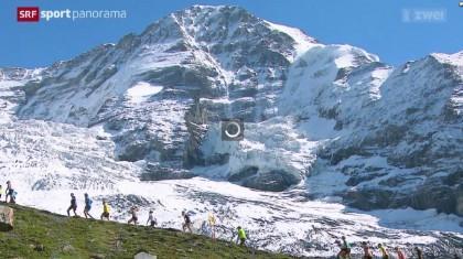 Startbewijs Jungfrau Marathon 2016