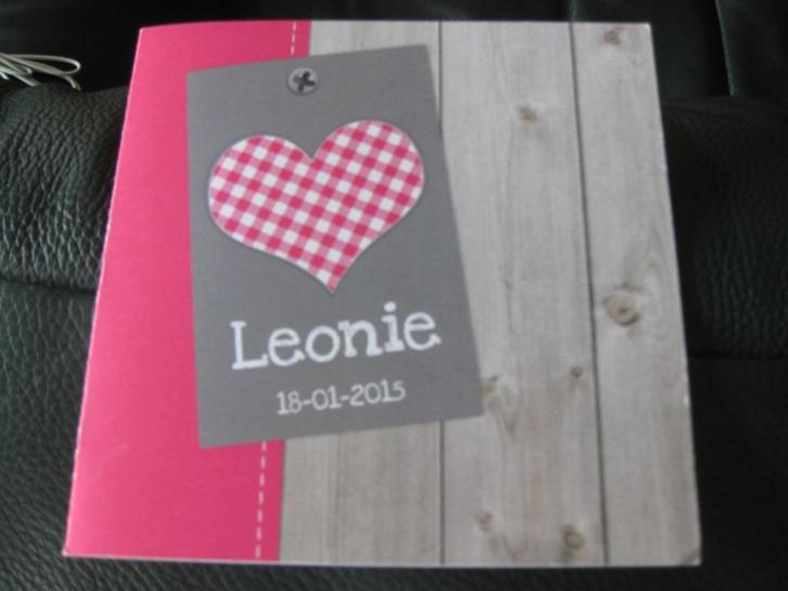 Geboortekaartje "Leonie", 18-01-2015