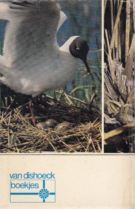 Vogelnesten en eieren (B19)