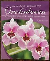 Orchideën (60)