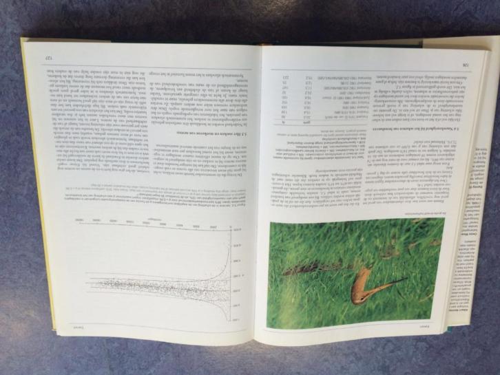 Ecologische Atlas van de Nederlandse Weidevogels