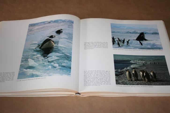 Fraai groot fotoboek over Antarctica !!