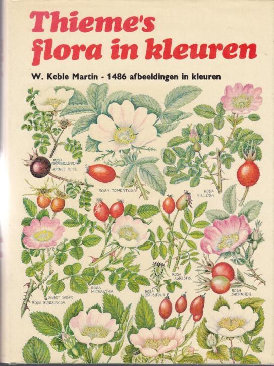 Thieme's flora in kleuren (B33)