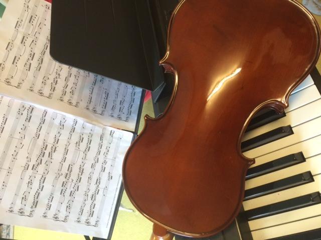 Elegante Allegro viool van Gewa 4/4 maat speelklaar!!!