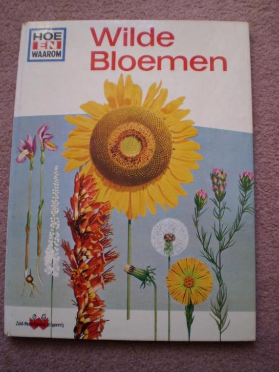 Wilde Bloemen - Hoe en Waarom - Hardcover