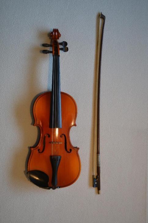 Beginners viool