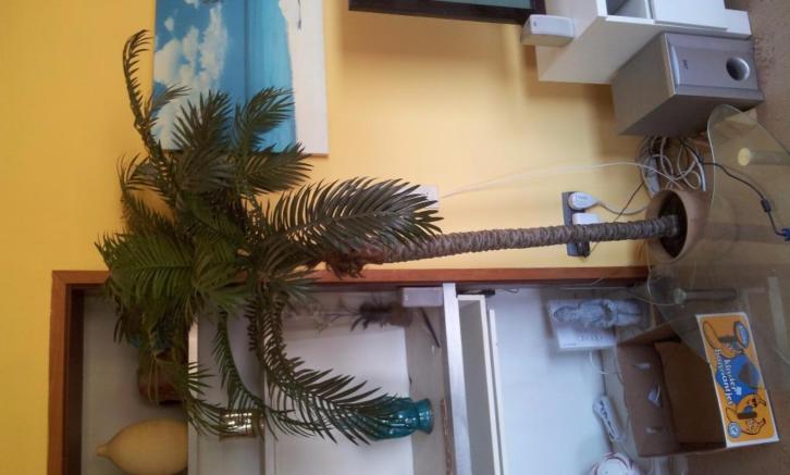 3 kunst palmbomen (150cm) met pot (ook per stuk te koop)