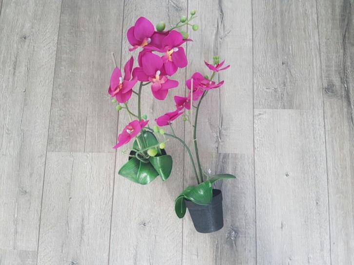 kunstplanten Orchidee