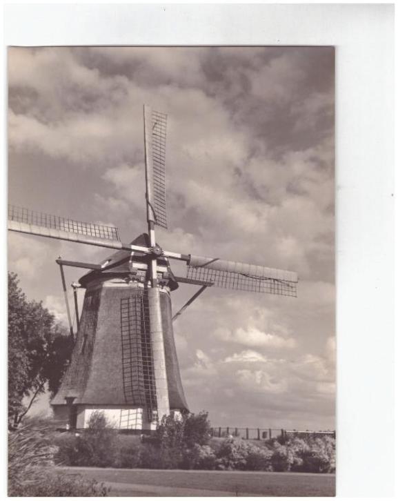 Foto molen, locatie onbekend