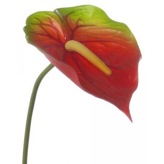 Rood met groene anthurium 78 cm - Kunstbloemen