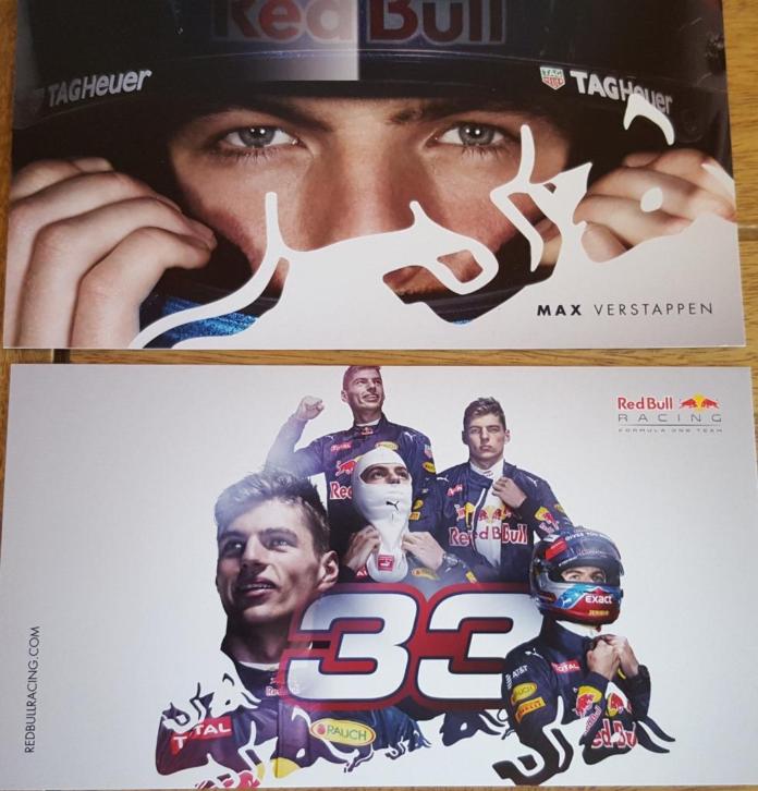 Max Verstappen teamkaart Red Bull Racing RB12 2016