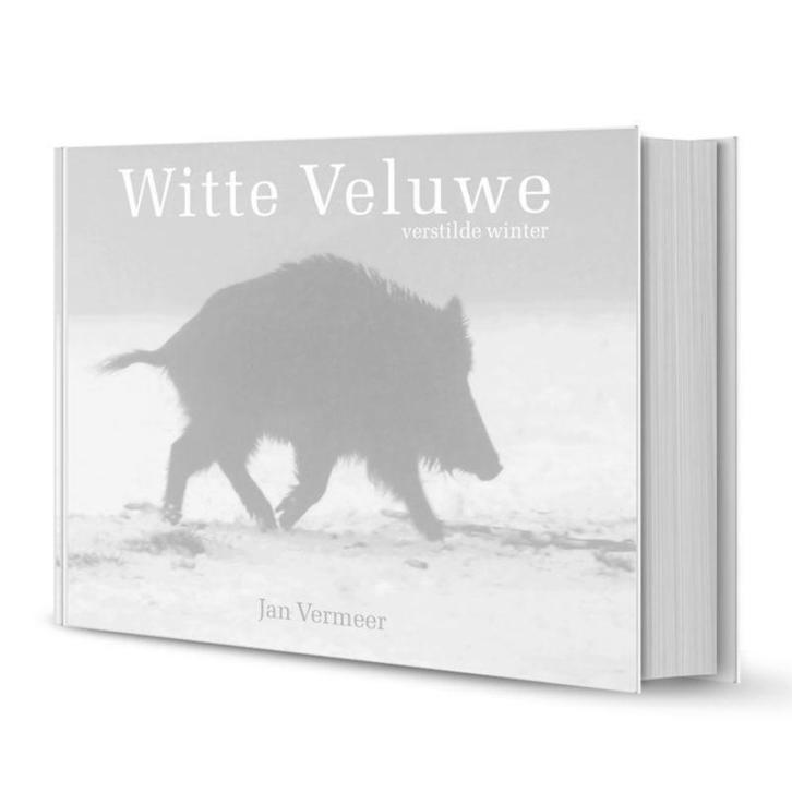 Witte Veluwe - Jan Vermeer