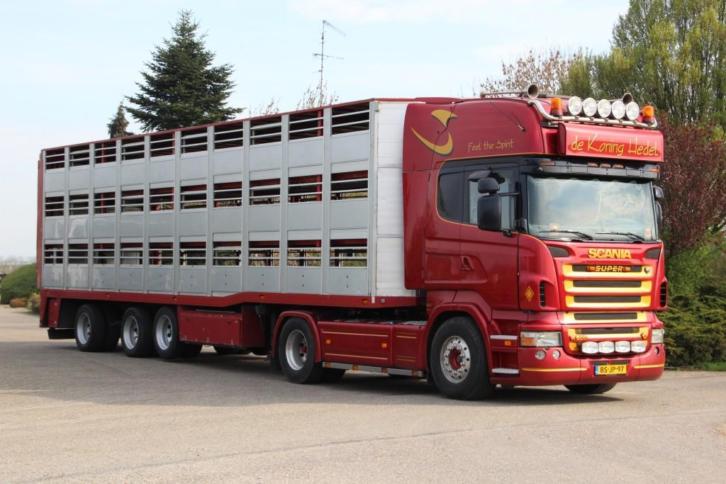 Scania R500 !565TKM!MANUAL!EURO5 + PIGS LIVESTOCK TRAILER