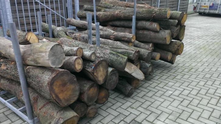 Openhaardhout aan stam te koop